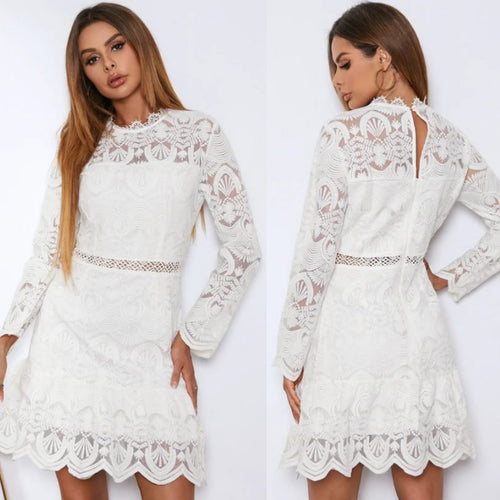 White Lace Hollow Design Crew Neck Long Sleeves Sexy Mini Dress